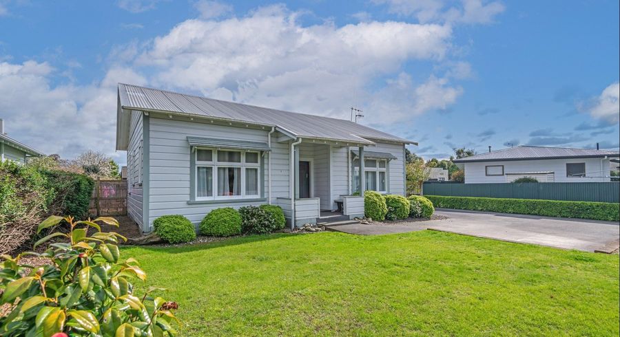  at 19 Manson Street, Terrace End, Palmerston North