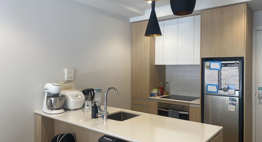  at 224/43 Edwin Street, Mount Eden, Auckland City, Auckland