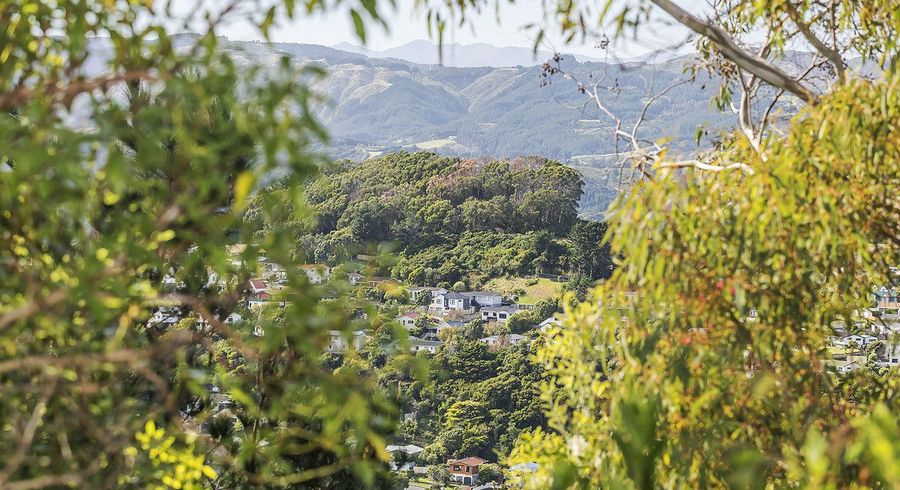  at 4 Doncaster Terrace, Ascot Park, Porirua, Wellington