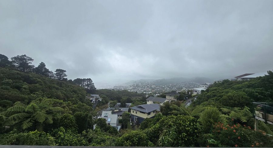  at 10B Middlesex Place, Northland, Wellington, Wellington