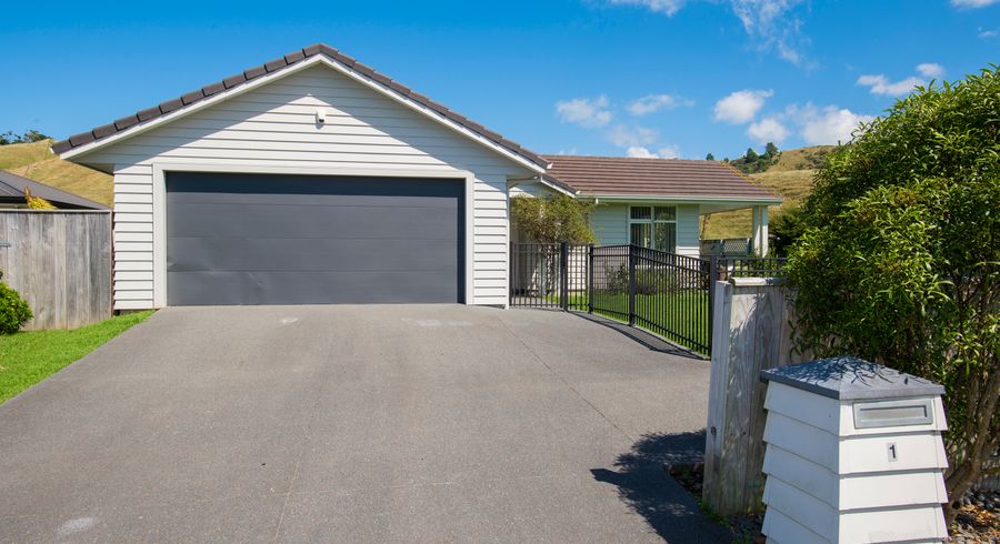  at 1 Hamilton Drive, Wainui, Gisborne