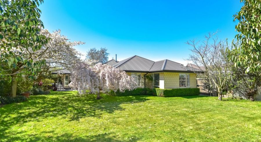 at 17 Pollock Place, Rolleston, Rolleston