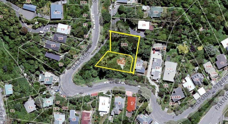  at 24A Balfour Street, Mornington, Wellington