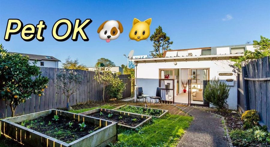 at 3/6 Willcott Street, Mount Albert, Auckland City, Auckland