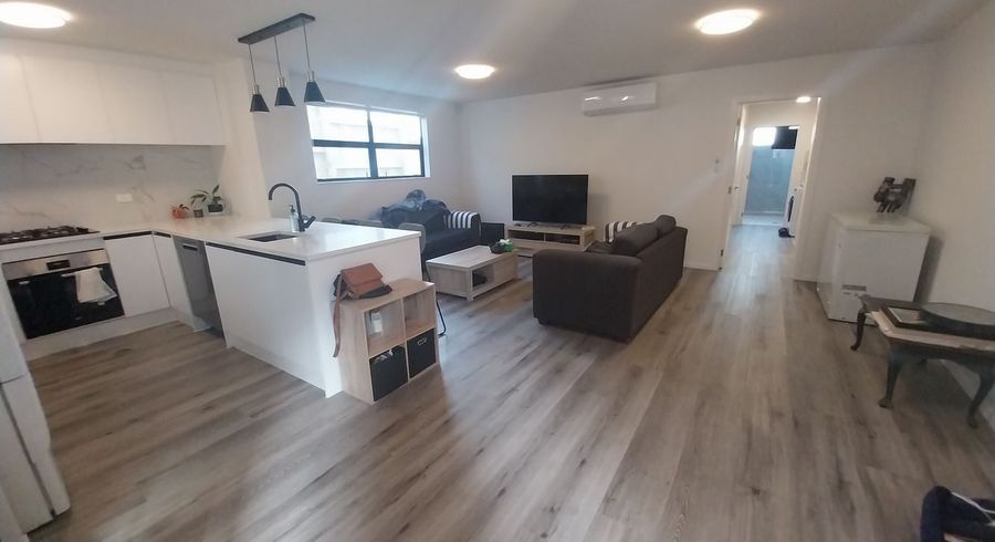  at 31 Seddon Road, Hamilton