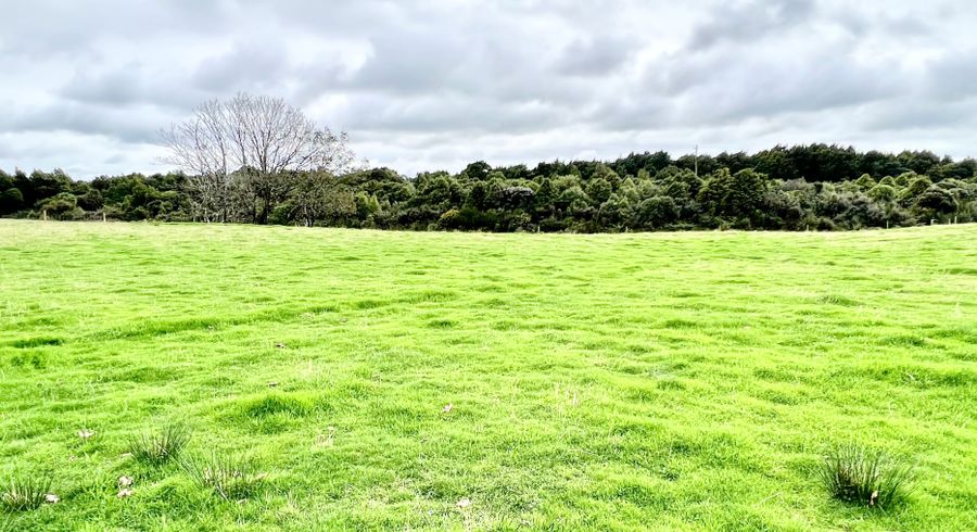  at 175 Mason Road, Seaward Bush, Invercargill