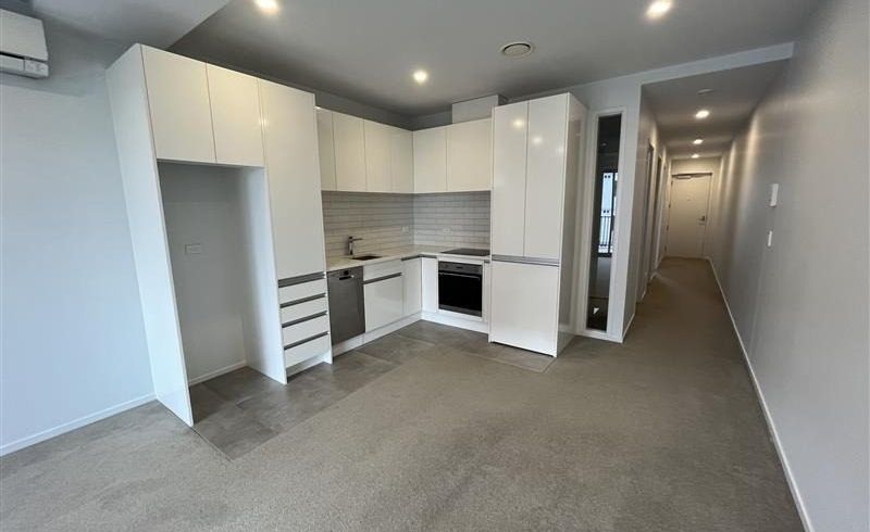  at 117/81 Mapou Road, Hobsonville, Waitakere City, Auckland