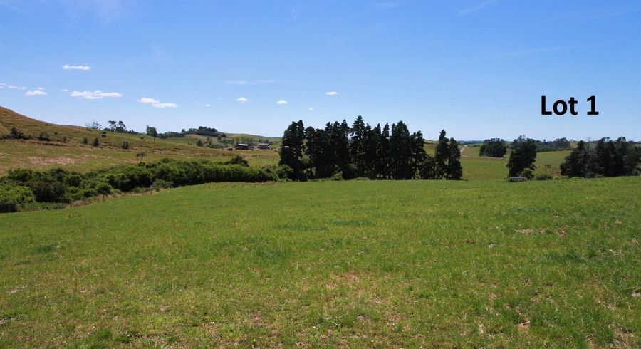  at Lots 1 and 2 129 Manganui Road, Stratford, Stratford, Taranaki