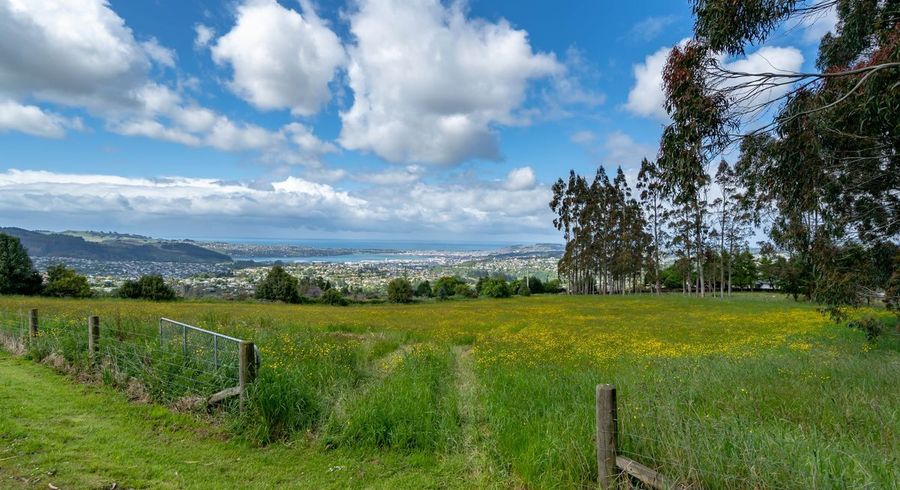  at 13 Cowan Road, Pine Hill, Dunedin