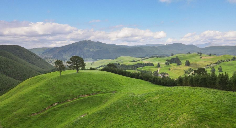  at 1448 Te Kopia Road, Waikite Valley, Rotorua, Bay Of Plenty