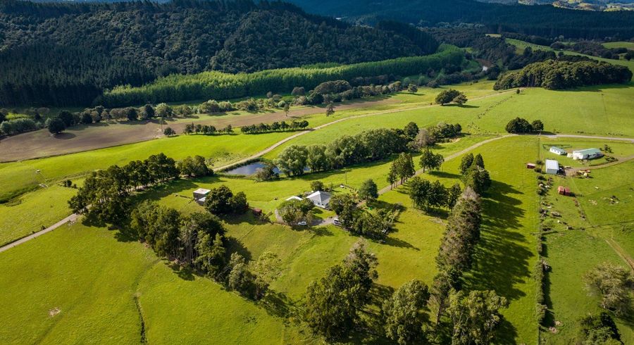  at 65 Papa Road, Whangarei