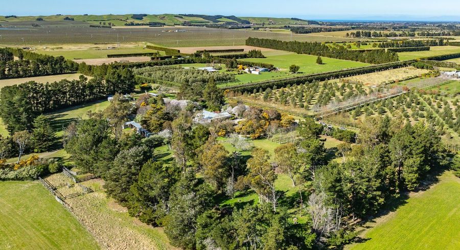  at 328 Purchas Road, Amberley, Hurunui, Canterbury