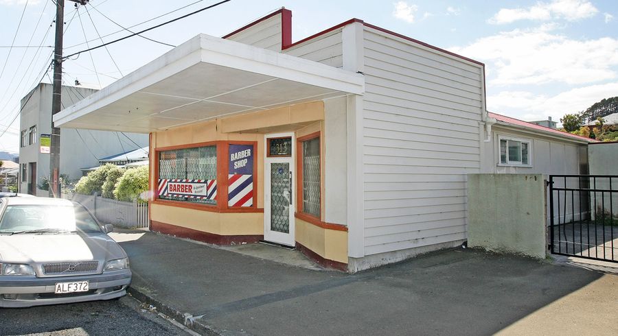  at 313 Mansfield Street, Newtown, Wellington