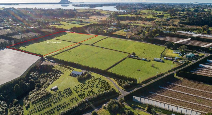  at 89 Te Puna Road, Tauranga