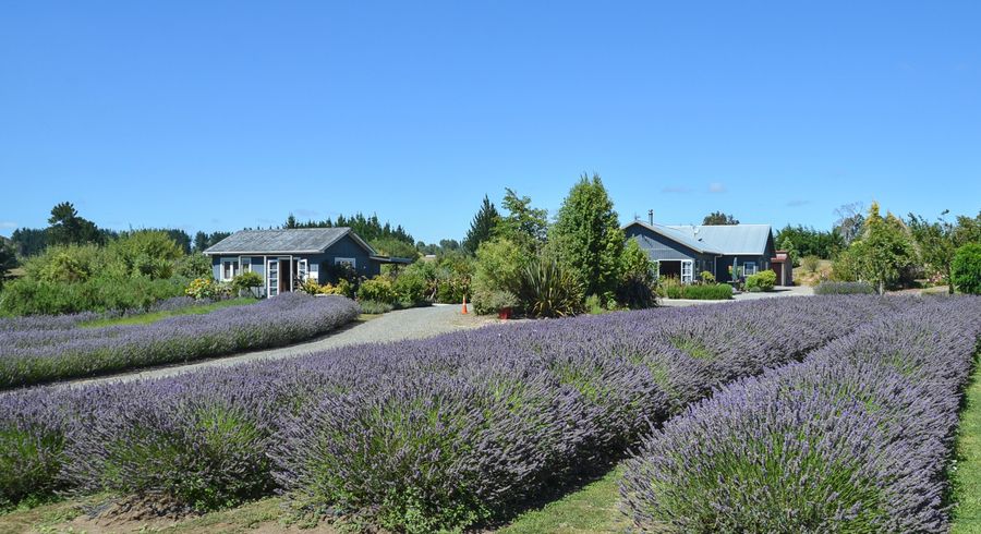  at 554 Apirana Road, Horohoro, Rotorua