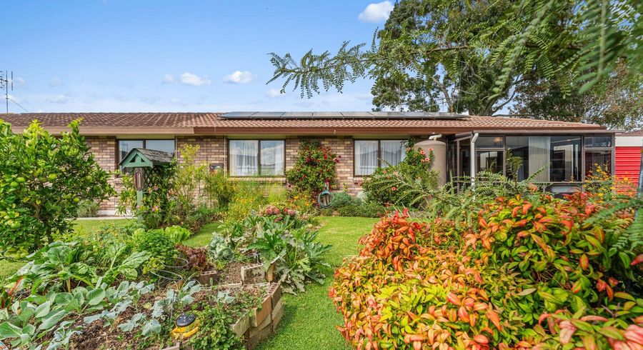  at 36 Oban Road, Greerton, Tauranga