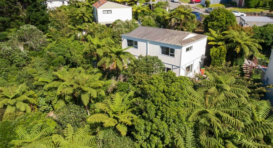  at 30A Cheltenham Terrace, Newlands, Wellington, Wellington