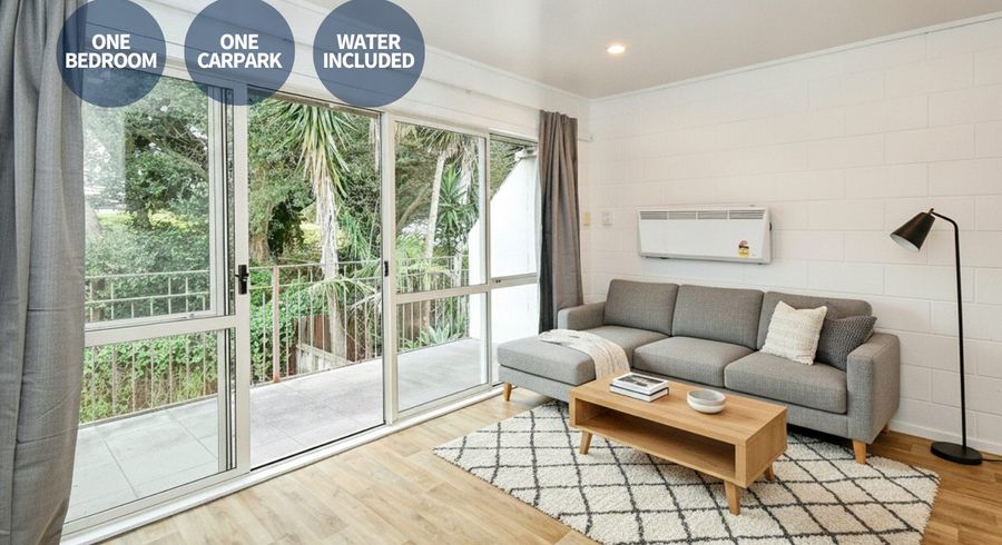  at 22/37 Ireland Road, Panmure, Auckland