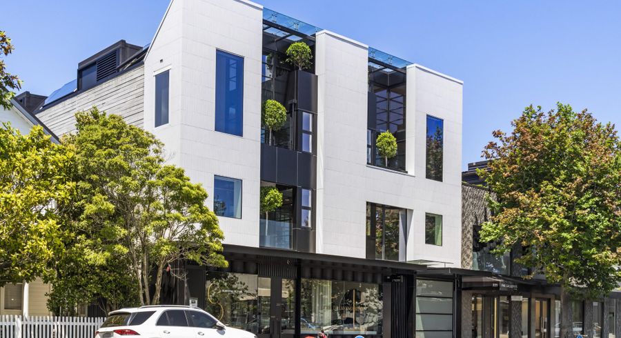  at 223 Ponsonby Road, Ponsonby, Auckland City, Auckland