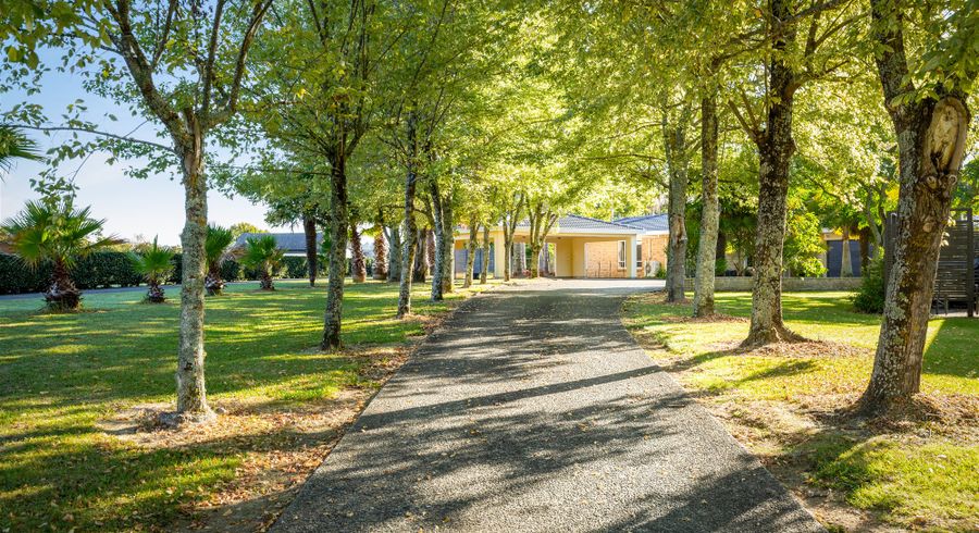  at 19 Totara Road, Whenuapai, Auckland