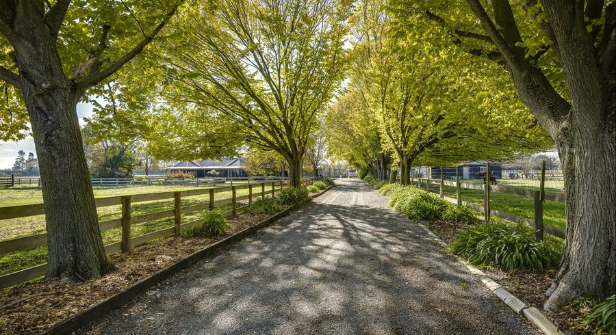  at 135 Crystall Road, Havelock North, Hastings, Hawke's Bay