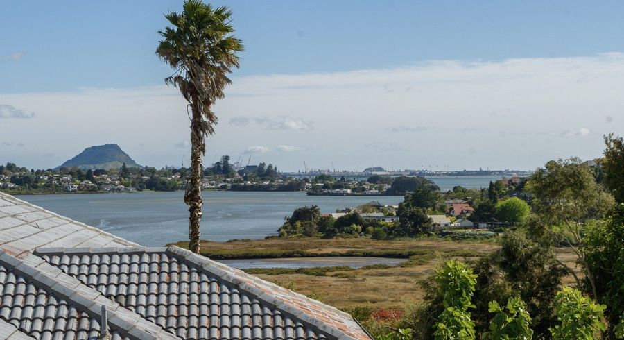  at 44 Diamond Head, Hairini, Tauranga, Bay Of Plenty