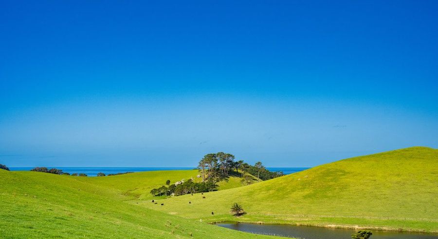  at 408 Taiharuru Road, Whangarei Heads, Whangarei, Northland