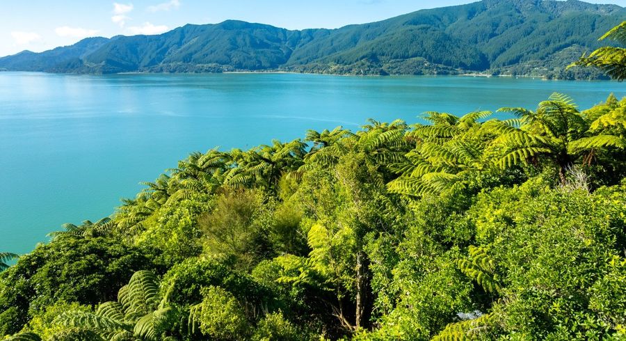  at 0 Whatanihi Pelorus, Whatanihi, Havelock