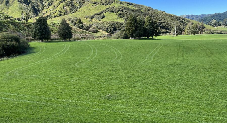  at Lot 4 632 Mangaotuku Road, Stratford East, Stratford, Taranaki