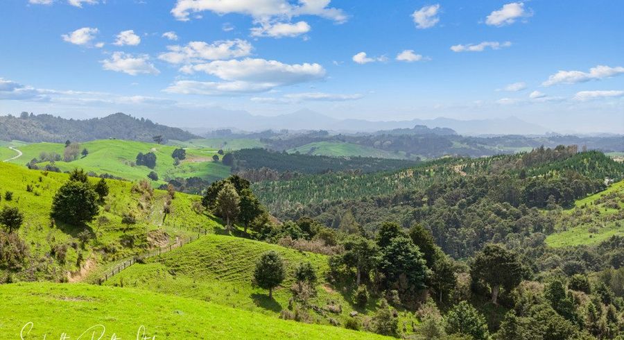  at 232 Arcadia Road, Paparoa, Kaipara, Northland
