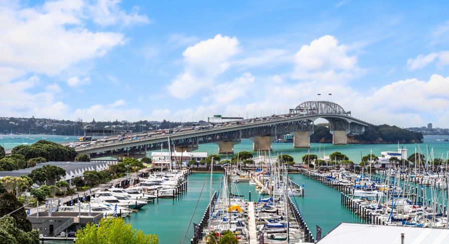  at 109 Shelly Beach Road, Saint Marys Bay, Auckland City, Auckland