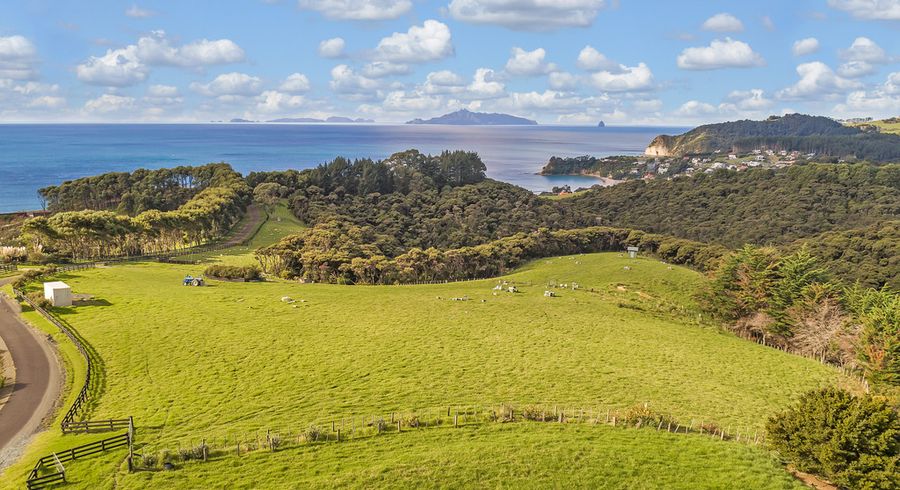  at 39 The Crescent, Whangarei