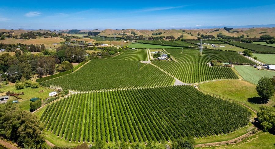  at Rakete Orchards LP, Hastings Central, Hastings, Hawke's Bay
