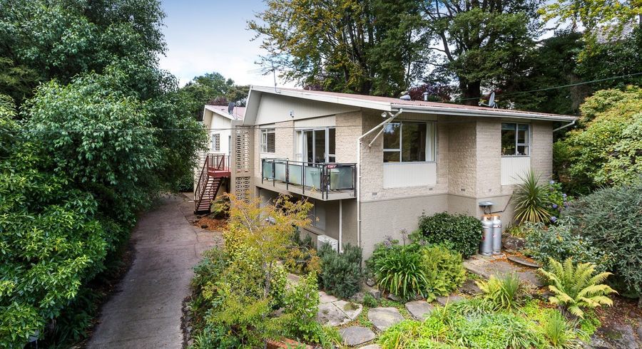  at 41B Melrose Street, Roslyn, Dunedin, Otago