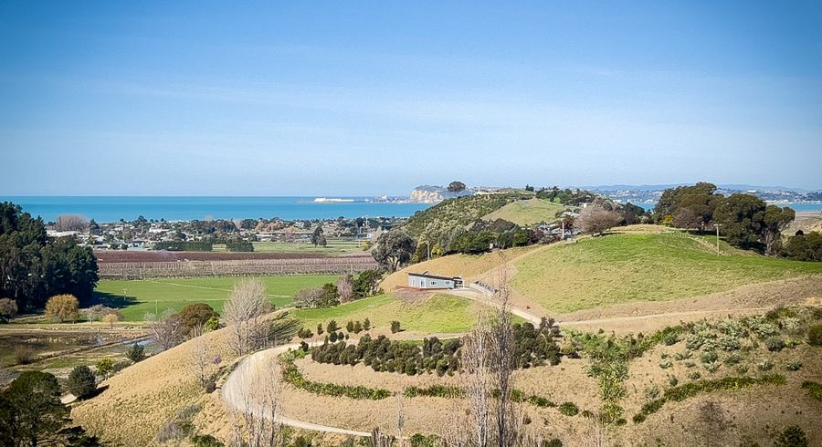  at 2/49 Lopdell Lane, Bay View, Napier, Hawke's Bay