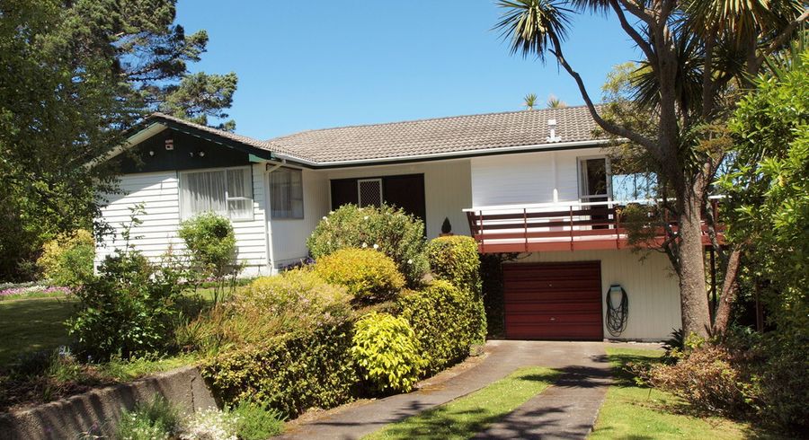  at 31 Korokoro Road, Korokoro, Lower Hutt