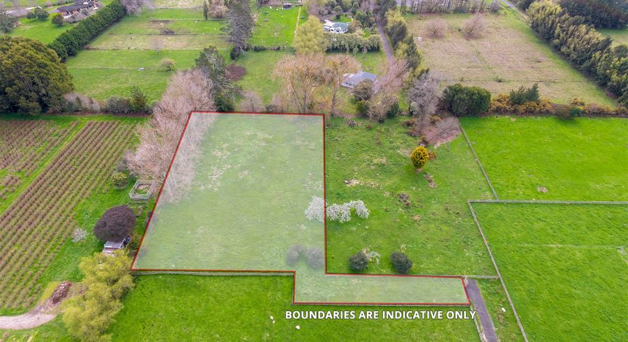  at 41C Ryburn Road, Newstead, Hamilton 