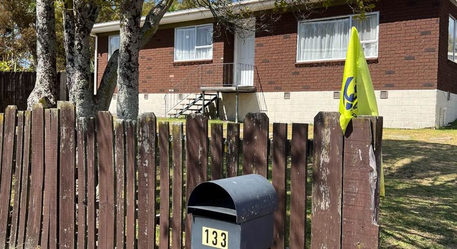  at 133 Universal Drive, Henderson, Waitakere City, Auckland