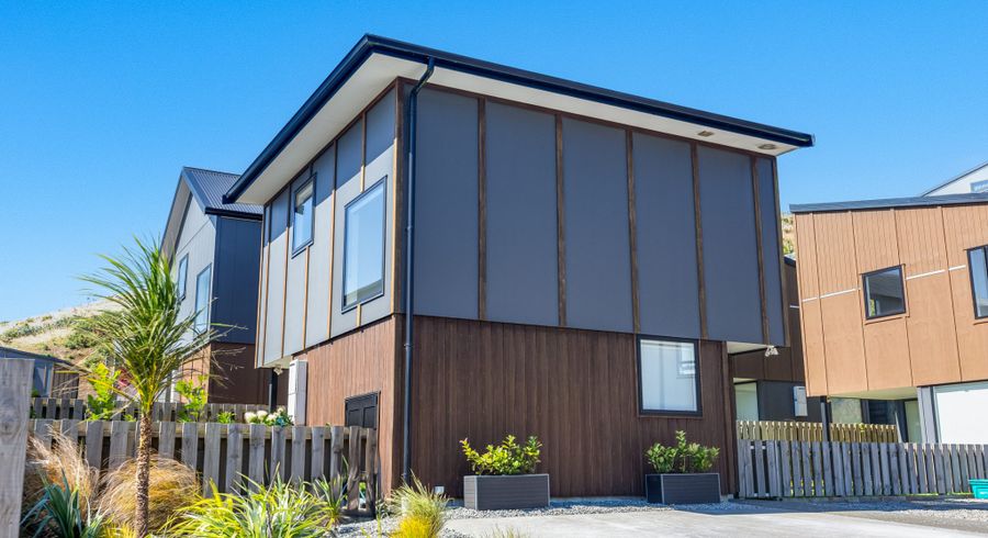  at 36 Astelia Way, Woodridge, Wellington, Wellington