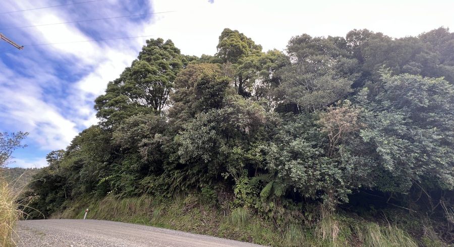  at Lot . Omoto Valley Road, Greymouth, Grey, West Coast