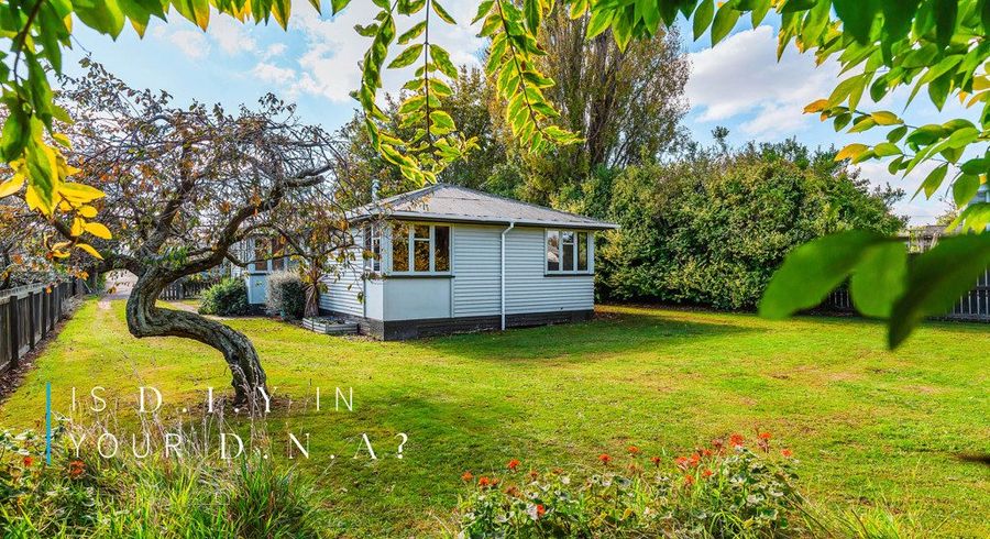  at 3/21 Rawhiti Street, Town Centre, Taupo, Waikato
