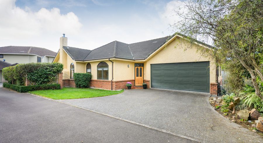  at 103C Fitzroy Street, Terrace End, Palmerston North, Manawatu / Whanganui