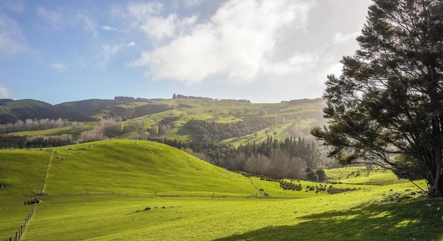  at 782 Glendhu Road, Greta Valley, Hurunui, Canterbury