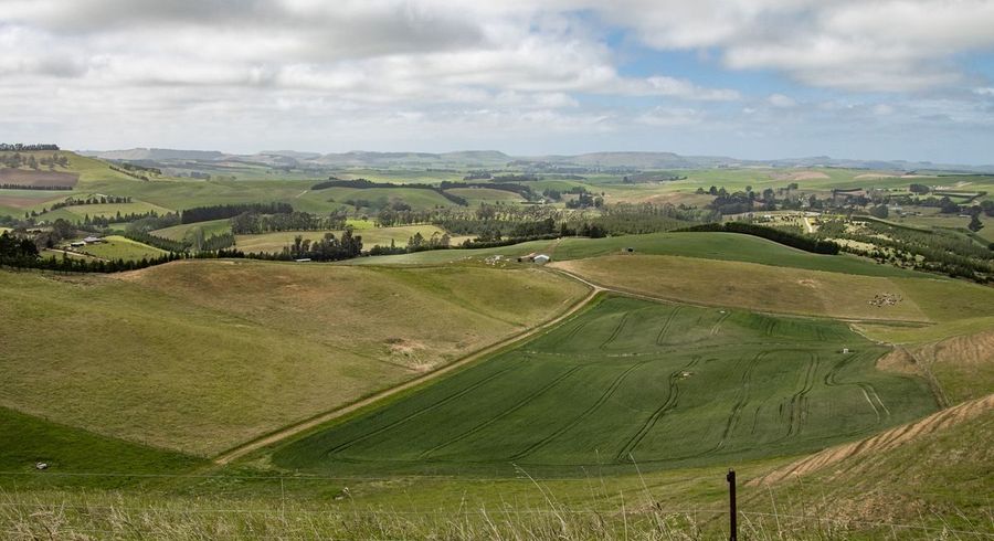  at Windsor, Waitaki, Otago