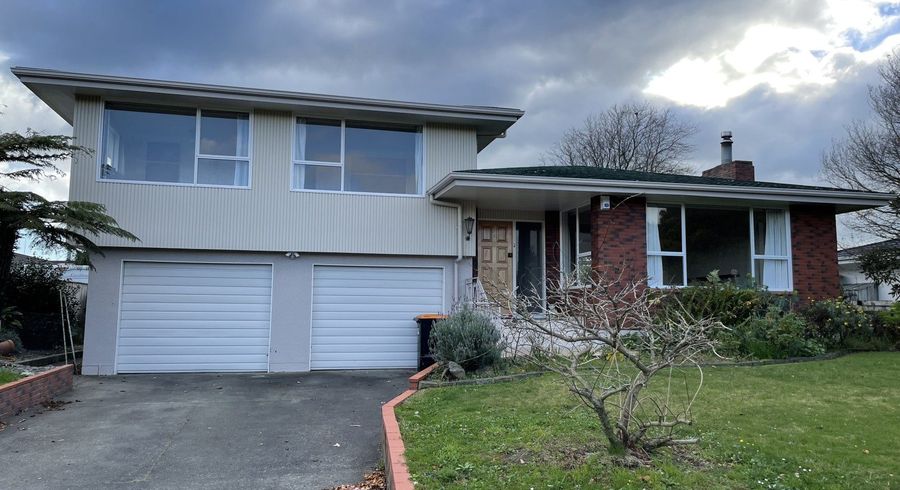  at 31 Dittmer Drive, Awapuni, Palmerston North, Manawatu / Whanganui
