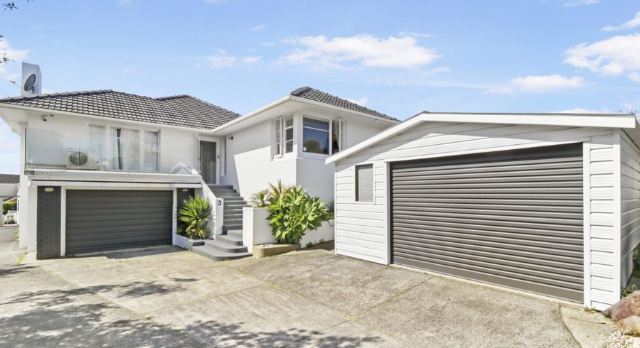  at 3 Olsen Avenue, Hillsborough, Auckland City, Auckland