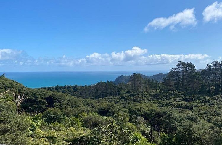  at Karekare, Waitakere City, Auckland