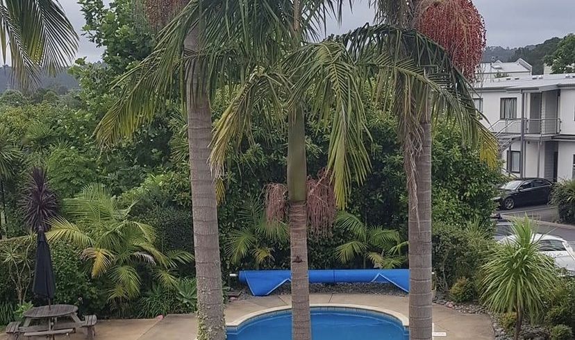  at 84/92 Bush Road, Albany, North Shore City, Auckland