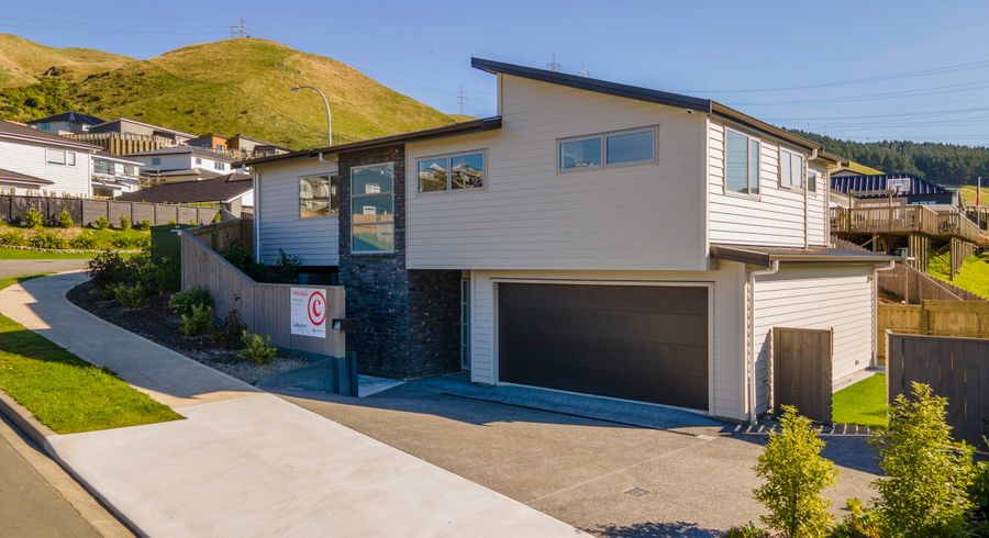  at 165 Amesbury Drive, Churton Park, Wellington