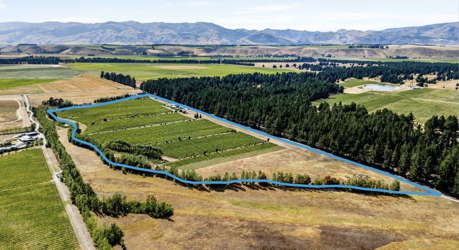  at 413 Maori Point Road, Tarras, Central Otago, Otago